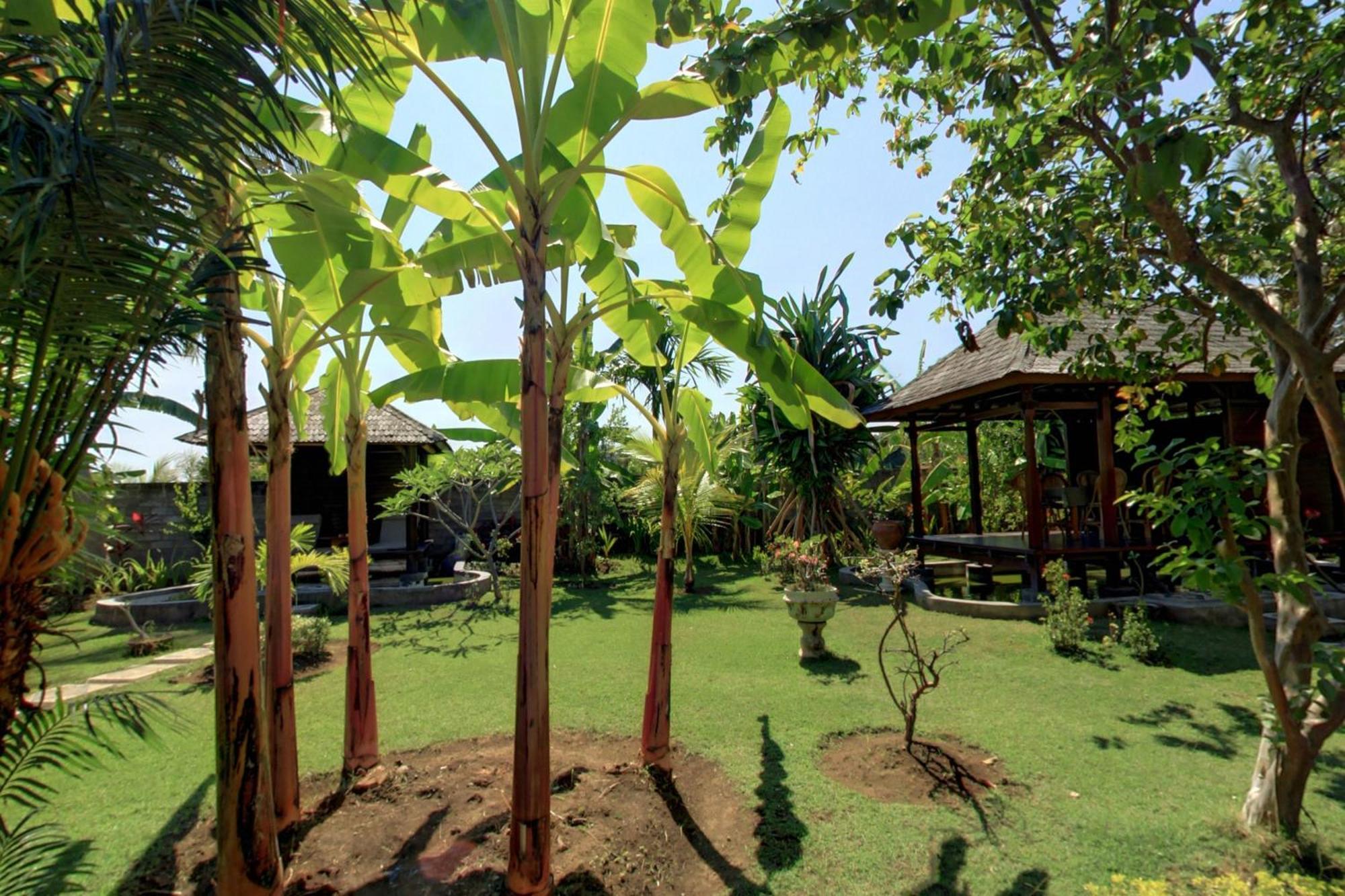 Hotel Sawah Lovina Exterior foto